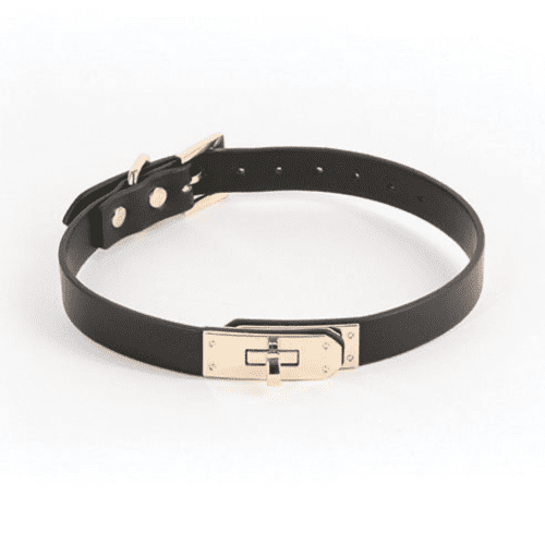 Fetish & Fashion Taboo Sadie Collar Collar NS Novelties Black